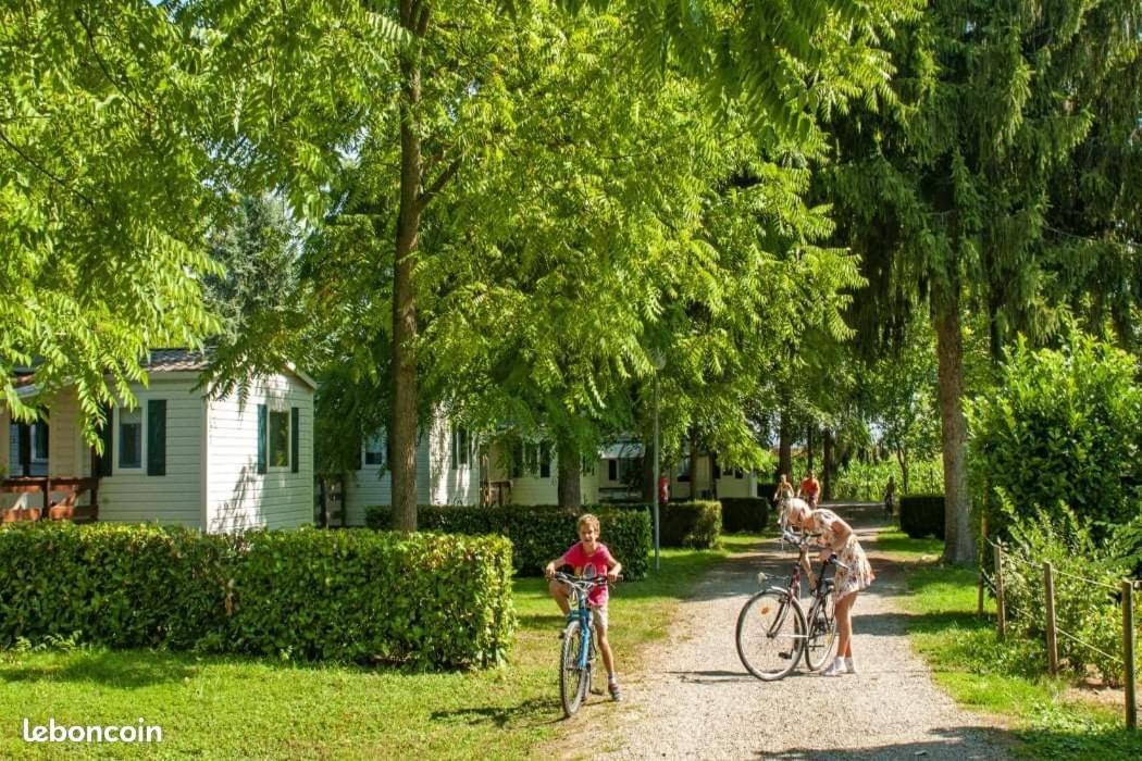 Campsite La Pepite Rose D'europapark *